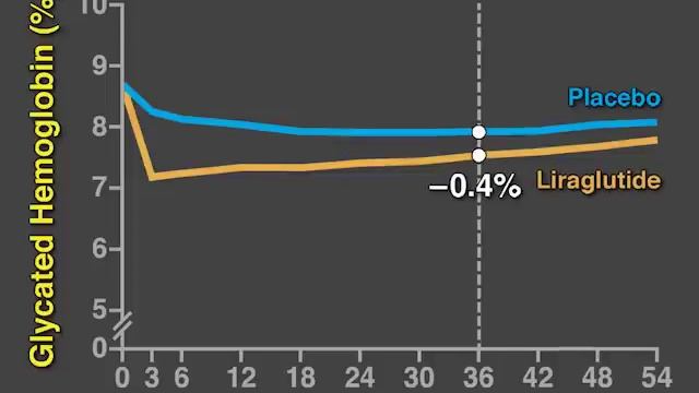 Liraglutide and Cardiovascular Outcomes смотреть онлайн