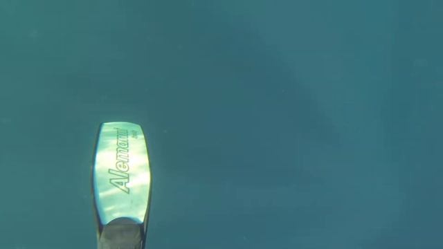 Deep spearfishing variable weight - 56.6m Port Elizabeth South Africa Part 1 - The dive. смотреть онлайн
