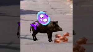 Побег от Элика (Add, Rounds 21, 22 and 23)