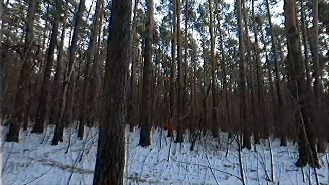 011409 смотреть онлайн