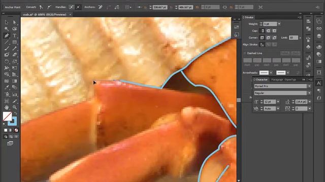 Tracing an Image in Illustrator смотреть онлайн