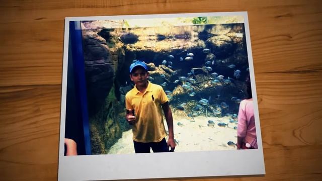 Начало #1 :Интересные деньки