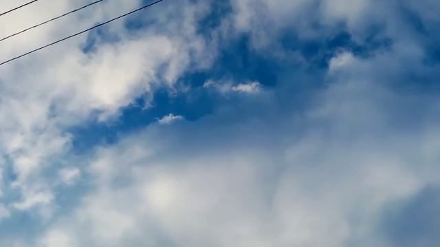 Николаевские голуби Сальск. смотреть онлайн