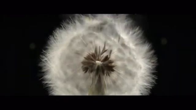 Cosmos - Uma Odisseia No Espaço (Abertura)