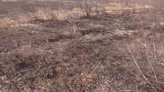 Участок артем молодежный смотреть онлайн