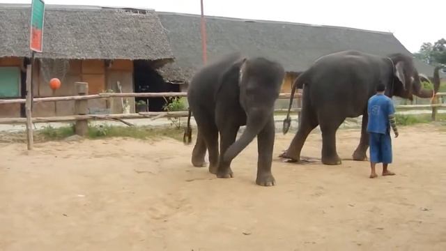 оп оп опа гангам стайл 3 смотреть онлайн