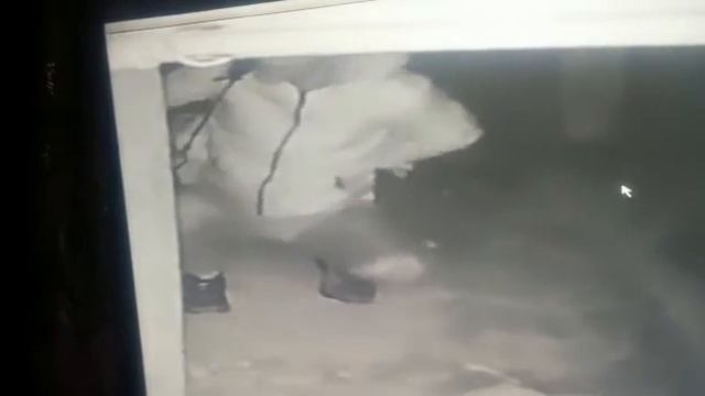 Вор в подвале. Талдыкорган смотреть онлайн