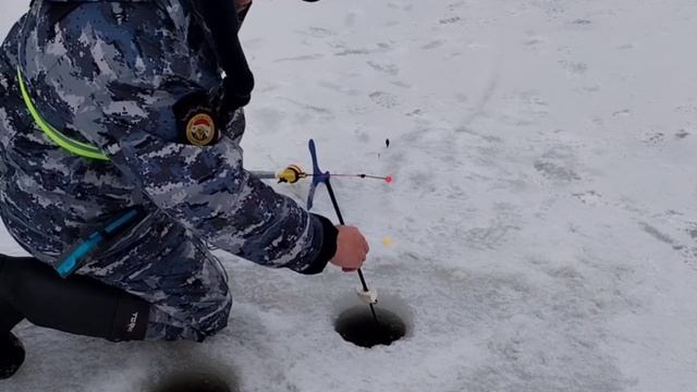 Поимки продолжаются смотреть онлайн