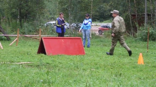 г. Соликамск (Пермс. край), 17.08.2019, соревнования по послушанию. Новички. №7 смотреть онлайн