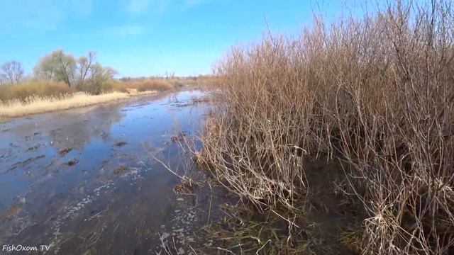 ОХОТА НА СЕЛЕЗНЯ! ВЕСНА! СТРЕЛЯЮ ДЫМАРЕМ! Охота на утку с чучелами и манком из скрадка. смотреть онлайн