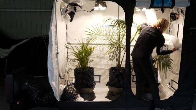 All New Growroom Cooling System смотреть онлайн