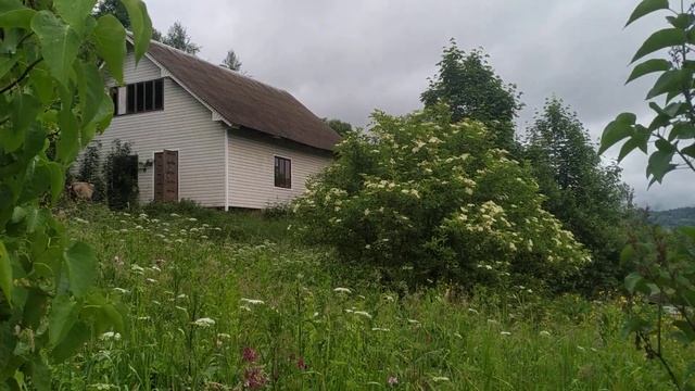 Про життя на природі після депресії , яка сталася через укус змії та жахливу пожежу. смотреть онлайн