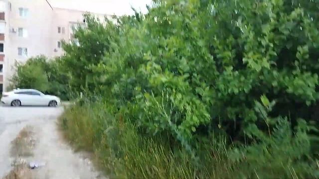 Вечерняя прогулка смотреть онлайн