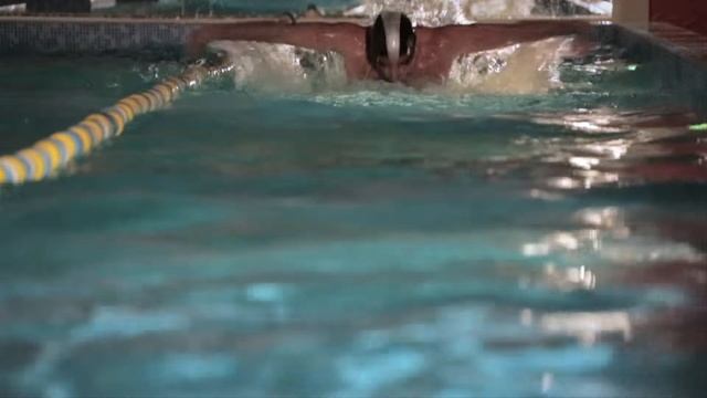 1 Zebra общий смотреть онлайн