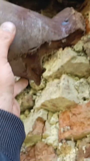 загадки постройки храма 1631 года смотреть онлайн