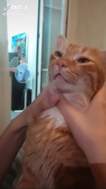 Ваш комп 😂😂😅 смотреть онлайн