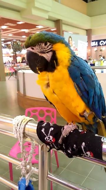 Арчи бормочет что-то смотреть онлайн