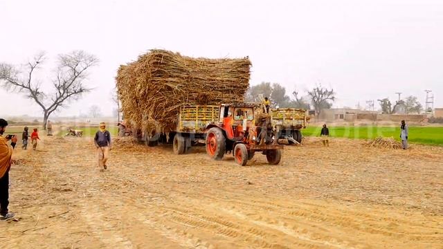 over loaded weight amaizing tractor stunts belarus MTZ 50 смотреть онлайн