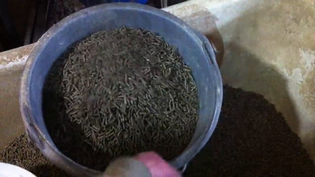 гранулятор с неподвижной матрицей 18квт производительность 600-700кг. в час