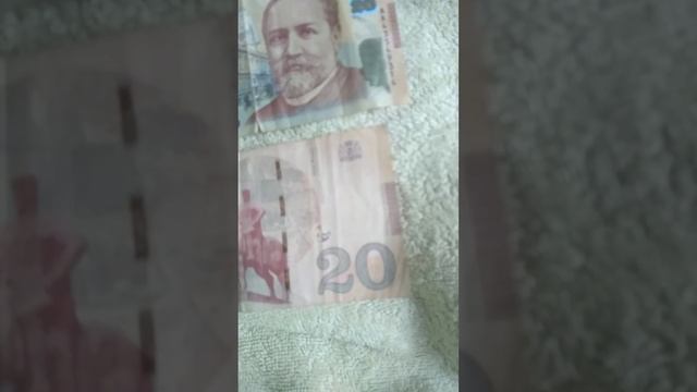 в батуми,за 75 лари,4 суток,жилье,оплатил смотреть онлайн