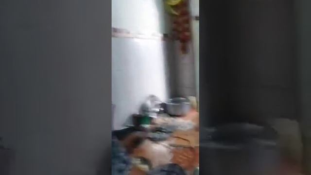 dalliy lotin my house @rekhabindass-dh3bf смотреть онлайн