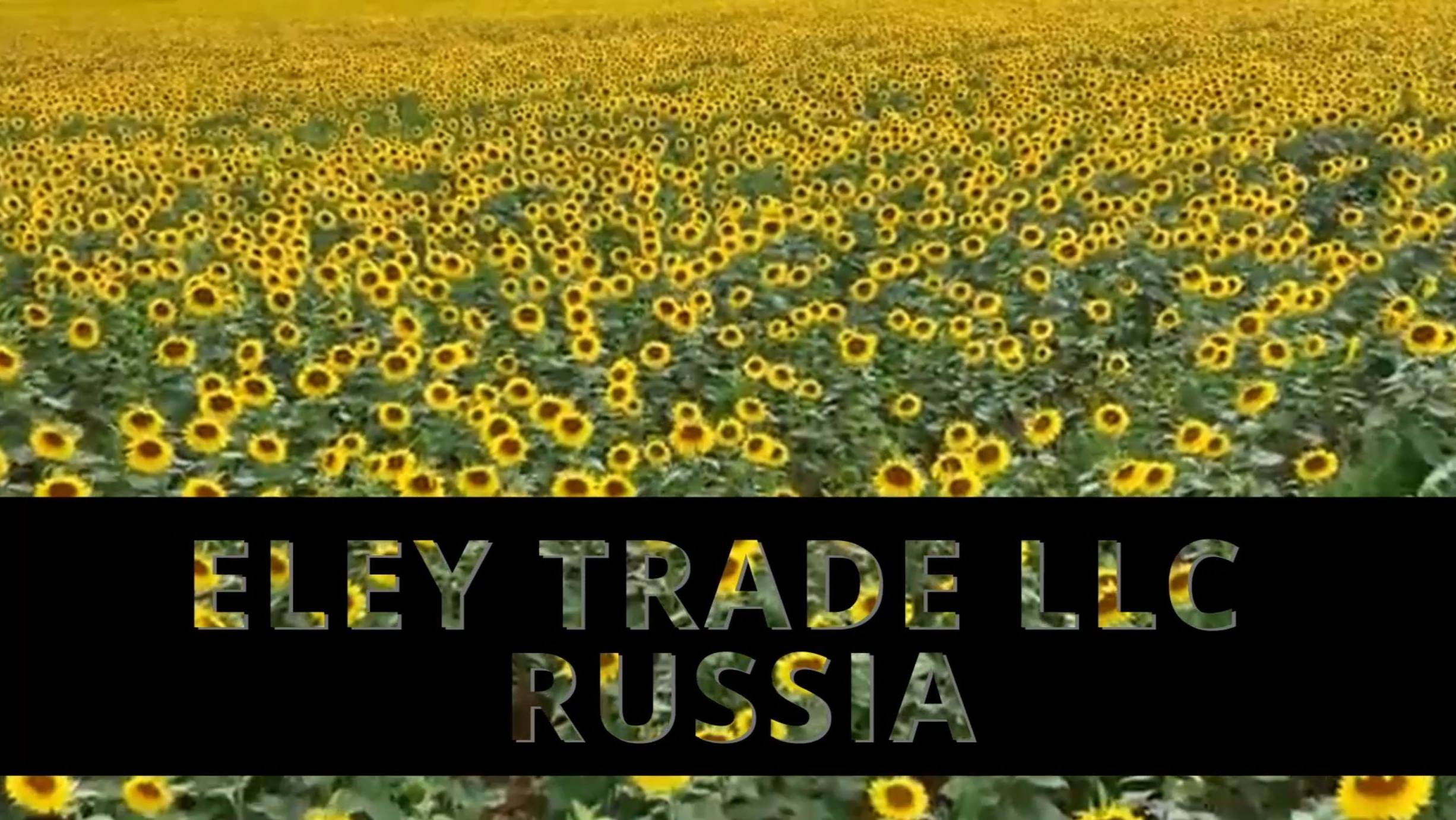 20 Years Of Successful Work