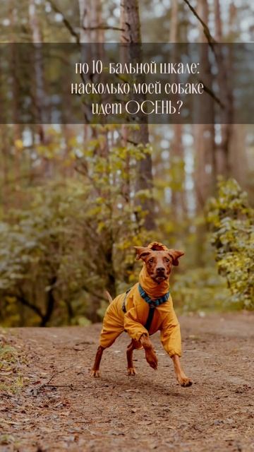 Экотропа Колтушские высоты