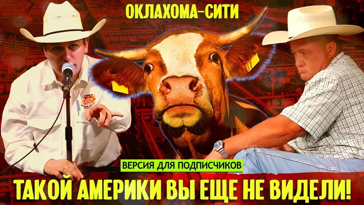 Такой Америки вы еще не видели: коровы на фоне небоскребов смотреть онлайн