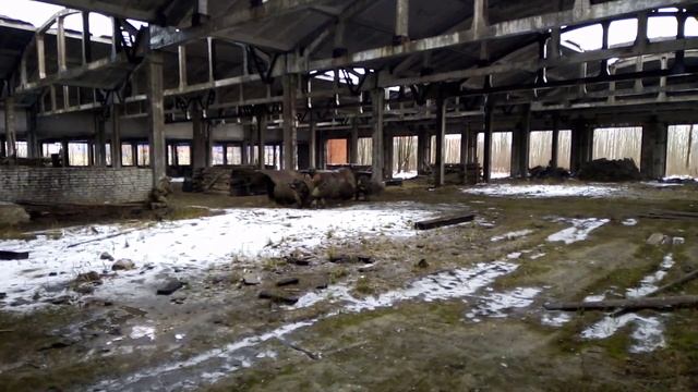 Тренировка по тактике. с Аскольдом