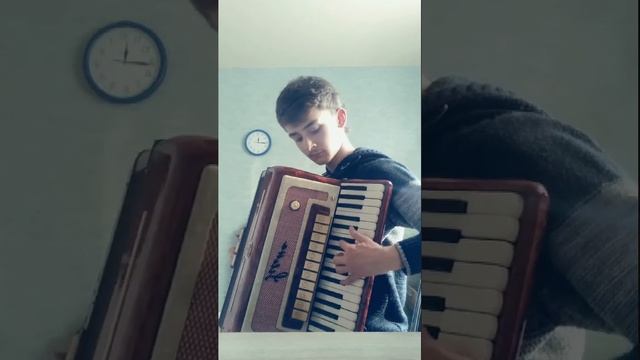 Вальс Мой нежный ласковый зверь на аккордеоне смотреть онлайн