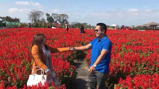 Proposal at Taiwan Flower Farm ( Ella and Gat) смотреть онлайн