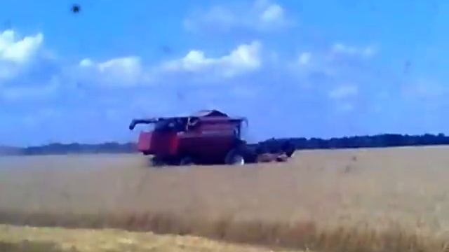 Палессе gs14.mp4 смотреть онлайн