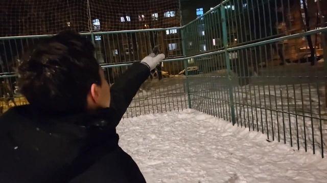 Верному другу цены нет! (скетч с моралью)