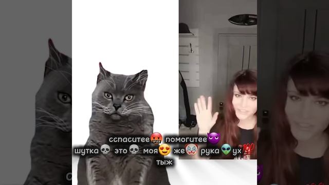 #рисование #мем #кот ПХАХАПХА,ВЫ ДОЛИСТАЛИ ДО ОРИГЕНАЛА ! смотреть онлайн