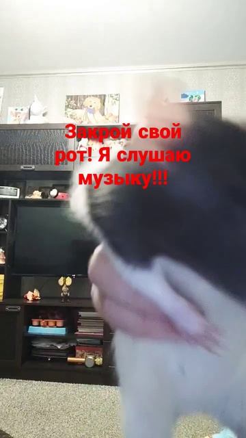 крыса танцует))#музыкв #крыса #рататуй #пон смотреть онлайн