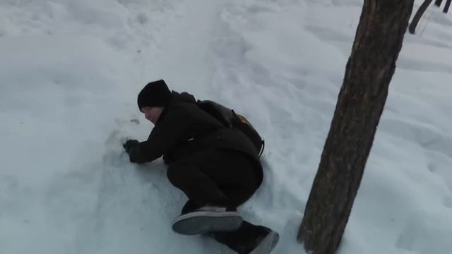 В погоне за...