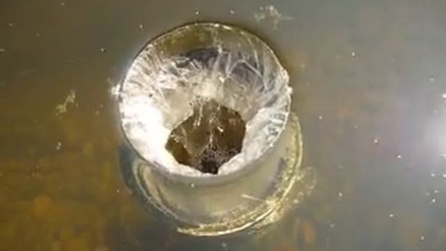 Работа скимера смотреть онлайн