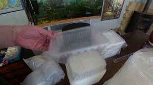 Готовим тару для посева семян