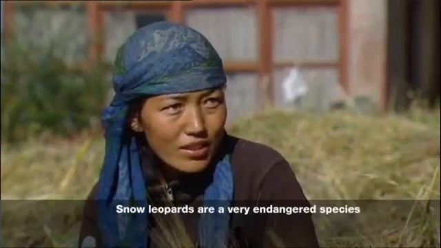101 East - Saving the Snow Leopard - 3 Sept 09 - Part 2 смотреть онлайн