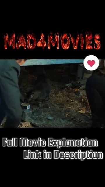वफादार कुत्ते की ऐसी कहानी जो आप कभी नही भूल पायेंगे | Film explain| 😥🐶| #shorts #short #ytshorts смотреть онлайн