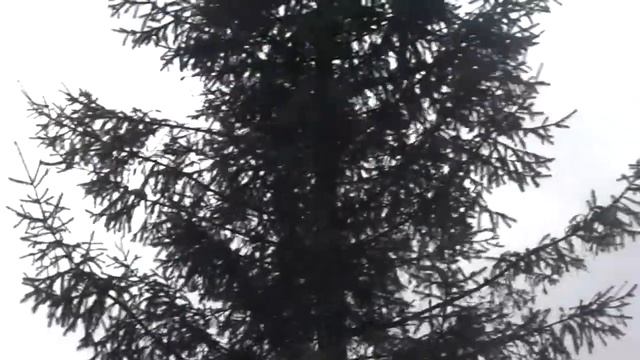 Тест БПЛА удержание позиции в ветренную погоду смотреть онлайн