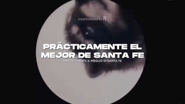 педро педро pedro енот в кружке тансует смотреть онлайн