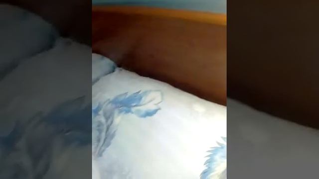 Ужасная гостиница