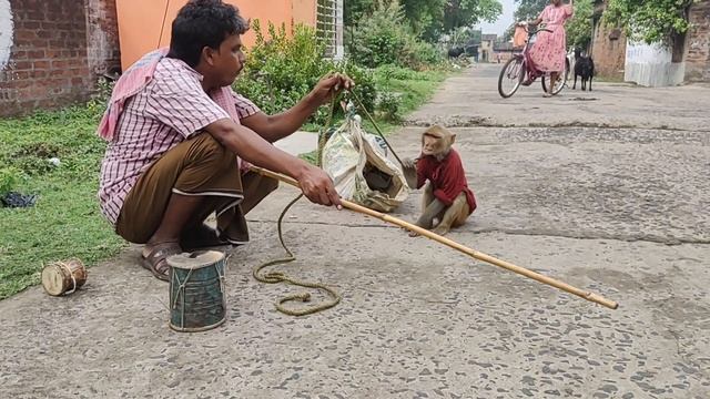 Monkey dance.today injoy very much 20yr letter🐒🐒🐒🐒🐒🐒🐒🐒🐒🐒 смотреть онлайн