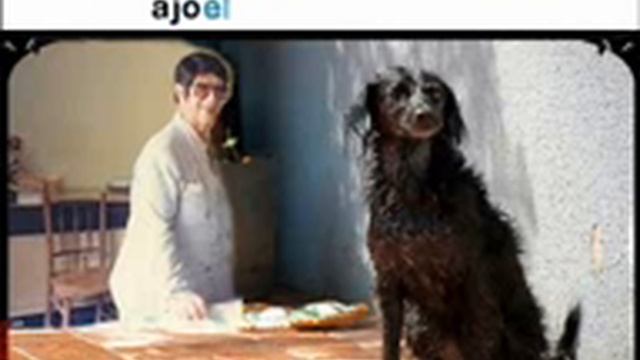 Chico Xavier - O Cão Menino смотреть онлайн