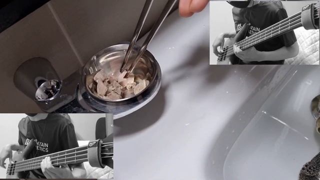 Turtle Song (Original Song) смотреть онлайн