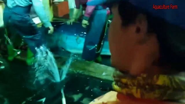 Unbelievable Fishermen Longline Fishing Tuna And  Shark Catch Thousands Of Monster Fish The Boat #0