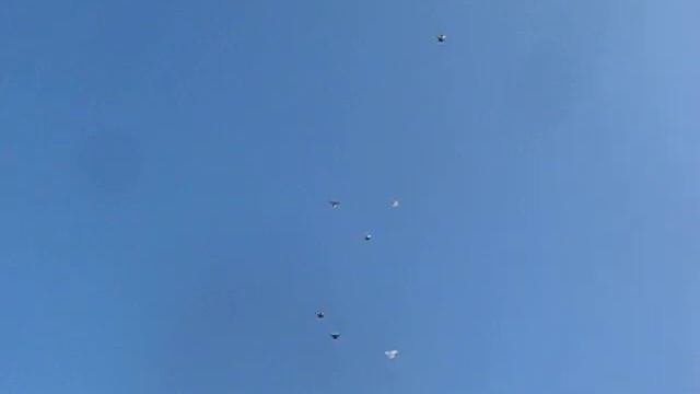 MVI 7558 воронежская обл смотреть онлайн