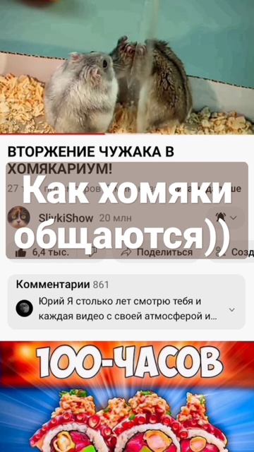 Сливки Шоу. Хомяки :v смотреть онлайн