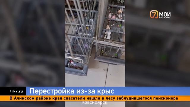 Fix Price с крысами на Красрабе рассказал о планах открыться вновь